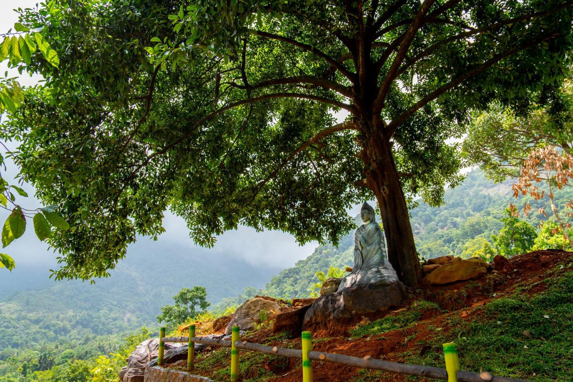 Vallikavungal Karimb Resorts מראה חיצוני תמונה